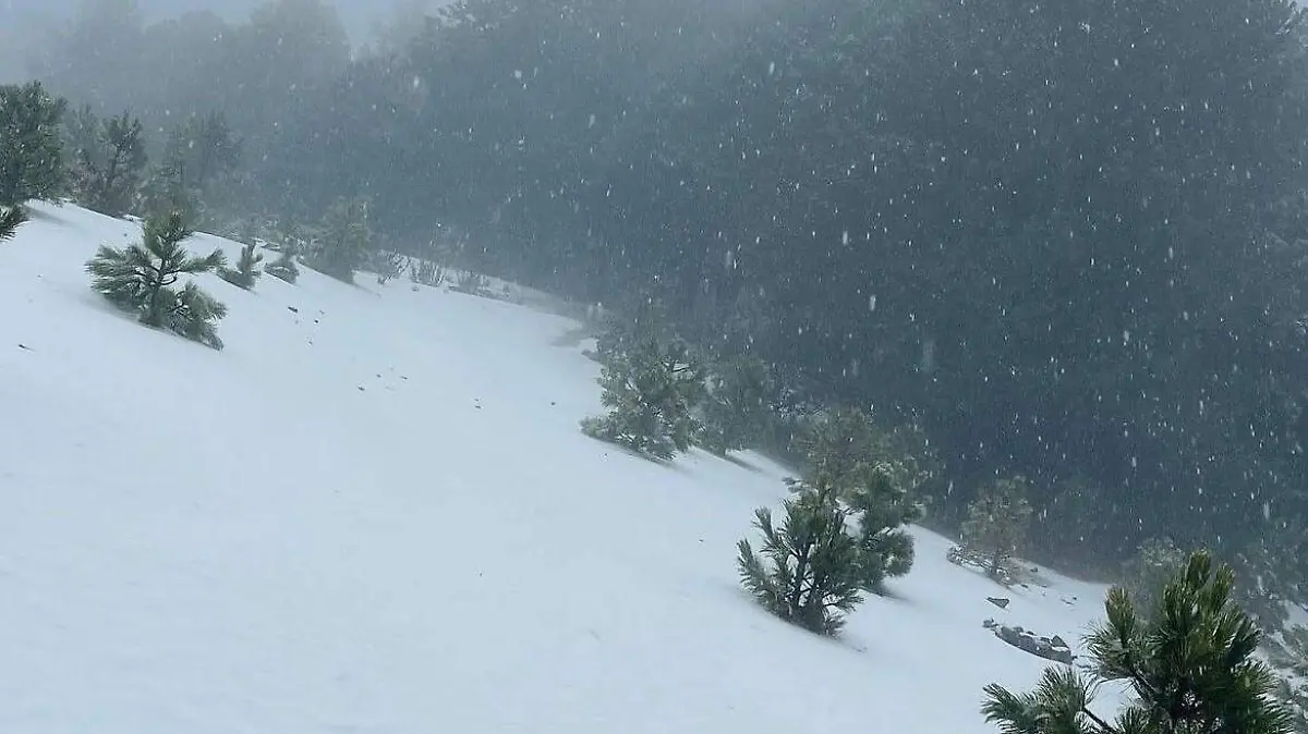 Nevado Colima (2)